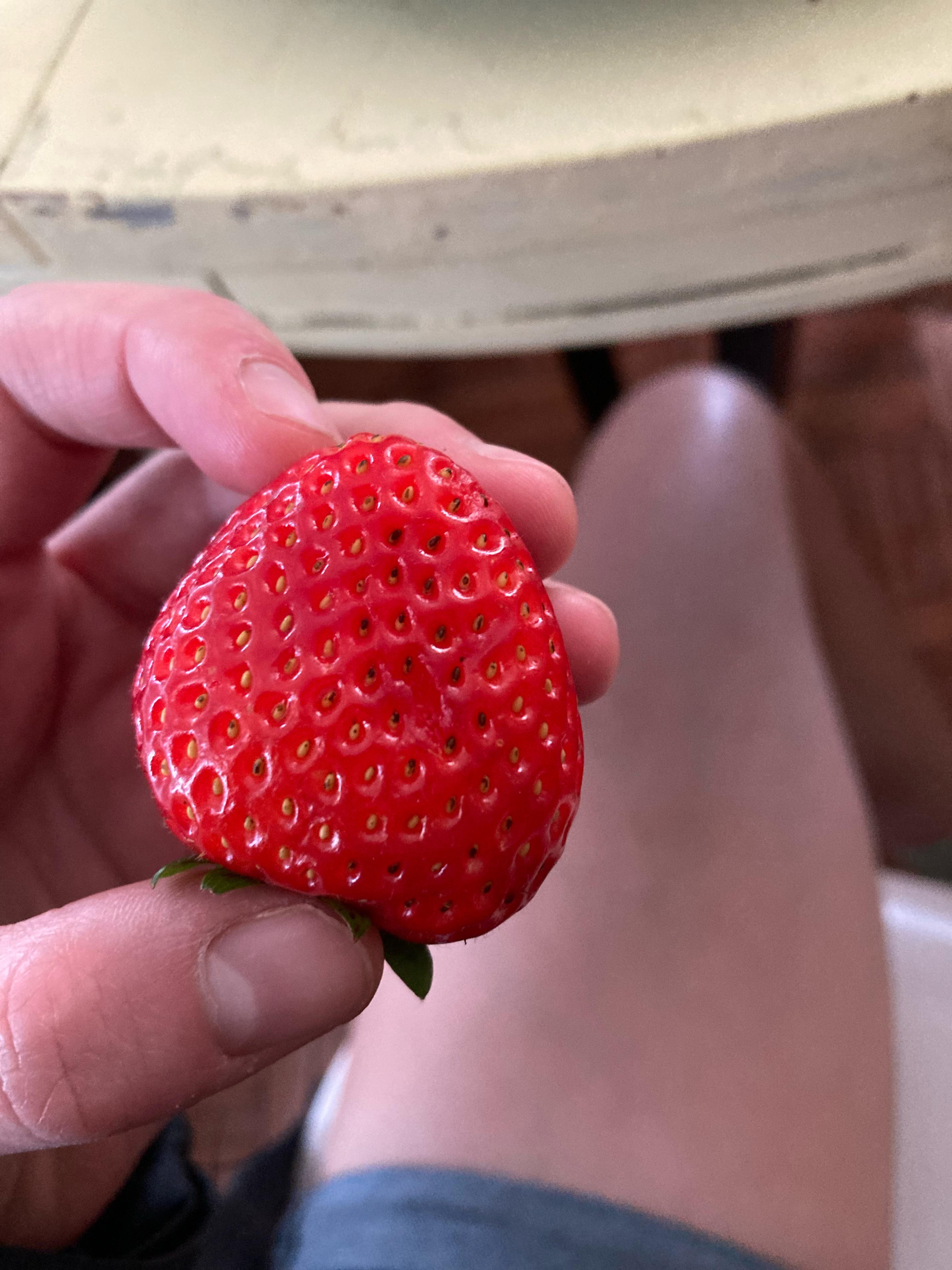 Can You Eat Strawberries With Black Seeds